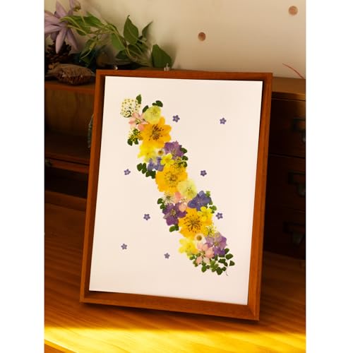 Flores secas prensadas naturales para manualidades x34 miniatura 5