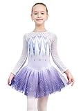 EQSJIU Long Sleeve Dance Leotard with Tutu Snow Purple Mesh Tutu Princess Dress Student Stage Performance Ballet Dress 6-7 Years
