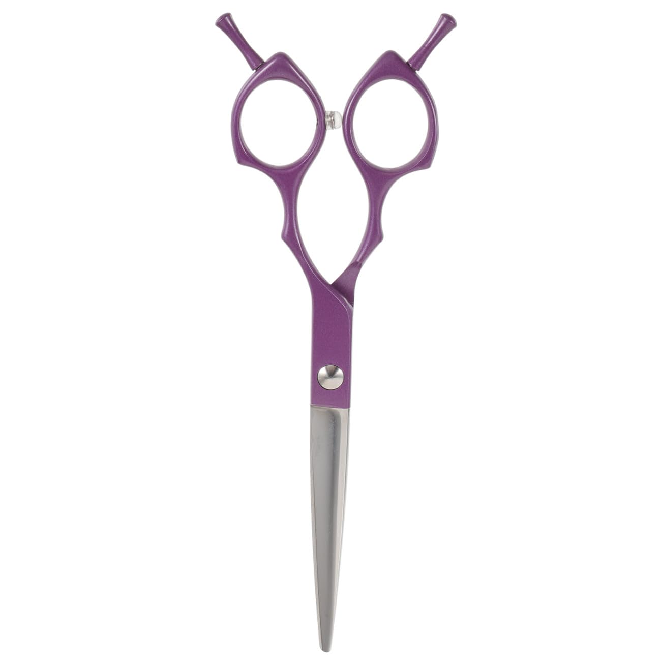 Ciseaux de coiffeur acier inoxydable pour coupe de cheveux maison