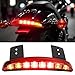 Rich Choices Motorcycle Chopped Rear Fender Edge LED Brake License Plate Tail Light Stop Running Light Turn Signal Lamp for Harley Sportster XL883N 1200N XL1200V XL1200X (Red Lens)