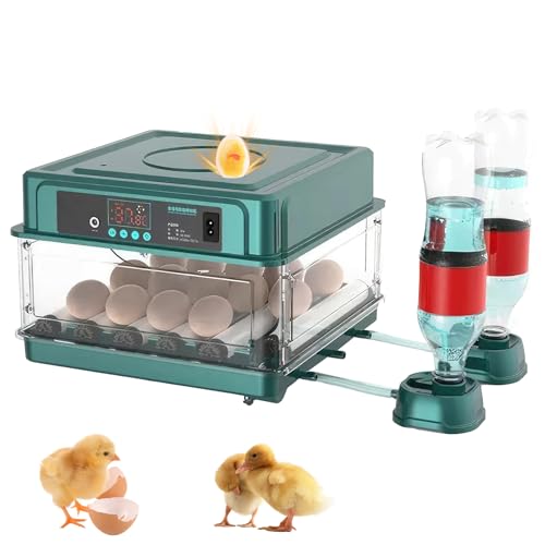 Incubadora Huevos Gallina de 15/36 Huevos Para Incubar, Vuelta Automática del Huevo, Ajuste Inteligente de Temperatura y Humedad, Con Luz LED, Ideal para Huevos de Gallina, Pato (15 huevos)