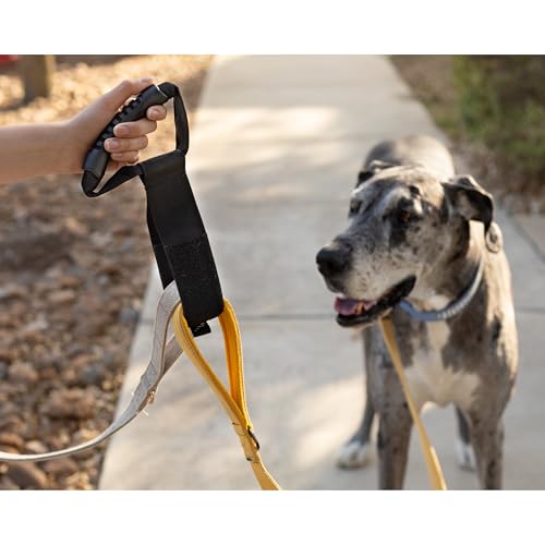 Multi Dog Leash Holder - Great for Multi pet households and Dog Walkers. - Image 4