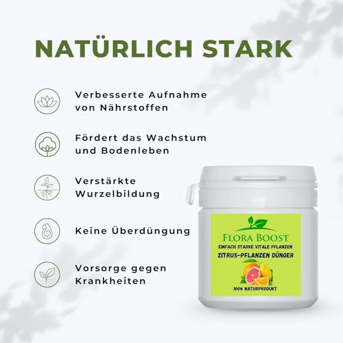 Zitrusdünger Konfitee Flora Boost 100 g für Zitruspflanzen