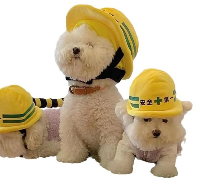 Amazon | Unlnsiy チワワ 小型犬 犬 ペット キャップ 犬用