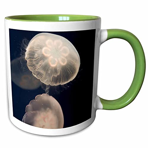 Moon Jellyfish Monterey Mug
