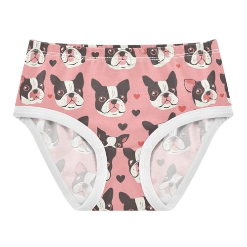Wusikd Cute Boston Terrier Girls' Underwear Cotton Hearts Girls Briefs Soft Toddler Underwear 2T