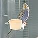 balacoo Metal Holder 8 Sets Metal Bird Cage Retaining Screws Bird Perch Screws Replacement Hardware with Gaskets for Bird Cage Metal Washers