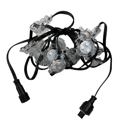 Luz Pixel LED RGBW Direccionable 30mm DC12V IP68 miniatura 2