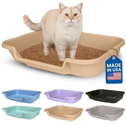 KittyGoHere Senior Cat Litter Box 1 Pack, Large Beach Sand Low Entrance Kitty Litter Box, Sized for Cats Comfort, Perfect for Senior and Arthritic Cats, Made in USA