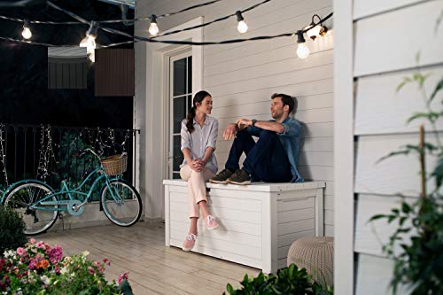 Foto von Koll Living Aufbewahrungsbox/Kissenbox, 623 Liter trockener & belüfteter Stauraum - mit Gasdruckfedern - Deckel bis zu 272 kg belastbar