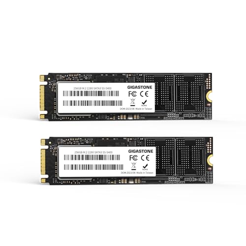 Amazon.co.jp: Gigastone M.2 SSD 256GB 2パック SATA III 520MB/秒
