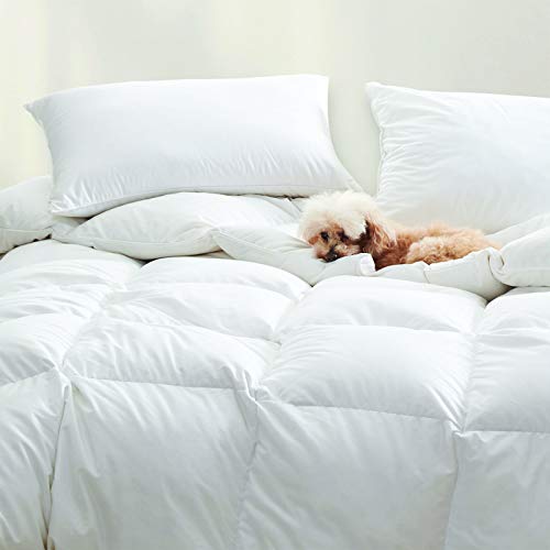 Cuddledown Dreamstead Percale Down Alternative Comforter | All Season | King Size 107