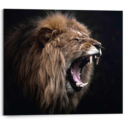 REINDERS Wandbild, Löwe, Wohnzimmer, Bilder, Wanddeko, Room Decor, MDF, Schwarz, 40 x 50