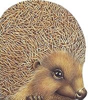 Çâepÿòa / about hedgehog / Zveryata/Pro ezhika 5928701144 Book Cover