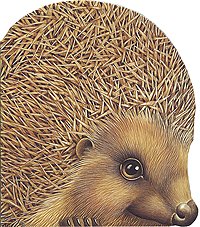 Hardcover Çâepÿòa / about hedgehog / Zveryata/Pro ezhika [Russian] Book