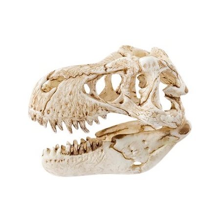 Schleich 42259 - Velociraptor auf der Jagd – Bild 5