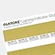 Pantone Lighting Indicator Stickers D65, LNDS-1PK-D65, mehrfarbig