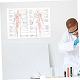 Zoom IMG-1 hoodancos poster anatomia umana in