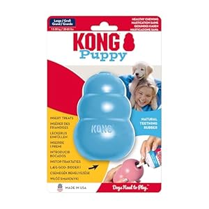 KONG Puppy Kauspielzeug für große Welpen