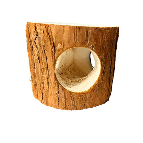 syrian hamster playground