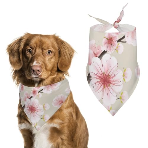   ̉ ybg o_i t^I lN^C E₷ ybgpi  _炩 U  v[g Mtg ybgo_i OpXJ[t  L tȒP @ U Hp K o 