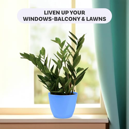 Image of Kuber Industries (Pack of 4) Flower Pot | (5 Inch) Plain Cool Plant Stand | Fuldani for Home Decor | Phooldaan for Terrace, Garden | Blue & White
