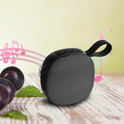 Haut-parleur portable avec audio stéréo puissant pour fêtes