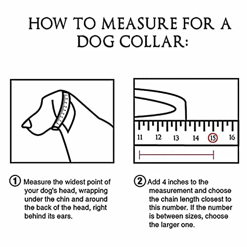 Collier de chaîne pour chien en métal avec étiquette d'identification - 5