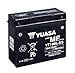 Produktbild YUASA YT19BL-BS Anlasser