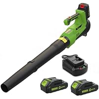 550 CFM Cordless Leaf Blower with 2 x 2Ah Battery & Charger only