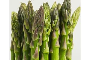 Asparagus Mary Washington Great Heirloom Vegetable Seeds 2,000 Seeds