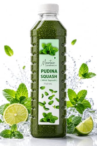 Image of Mountain Bawarchi Mint (Pudina) Squash | Natural Healthy Juice Gift Pack | Natural Sharbat | Refreshing Juice | Ready To Serve | 750ml (Set of 1)