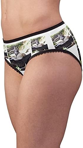 Laying Wolf Panties, Laying Wolf Underwear, Briefs, Cotton Briefs, Funny Underwear, Panties For Women