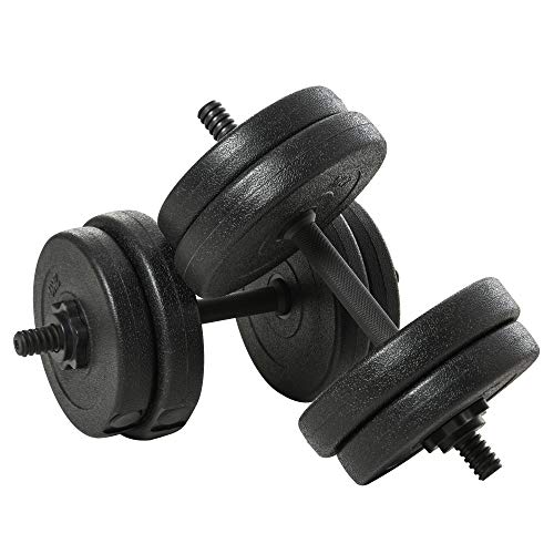 HOMCOM Set Manubri Palestra 20kg (4x2.5kg, 4x2kg), Pesi Palestra con 8 Dischi da 2kg, 2.5kg, Ø25mm, per Allenamento a Casa