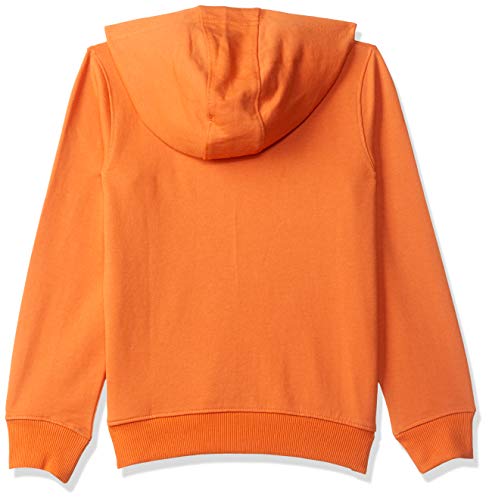 Image of Amazon Brand - Jam & Honey Boys Lightweight Sweatshirt