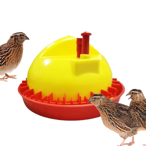 Contenedor de agua para aves de corral – Material duradero, de deshidratación, dispensador para pájaros | Animales de granja en el patio trasero, criando pollitos de bebé,