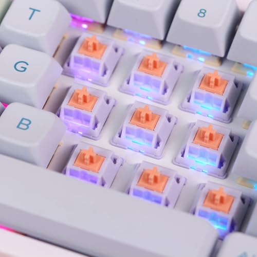 Image of EPOMAKER Mechanical Switches Set for Mechanical Gaming Keyboard, 100 Pieces, Pre-Lubed Switch, Linear /Tactile /Clicky, 5-Pin Creamy Switch with MX Keycaps (Wisteria(Tactile))