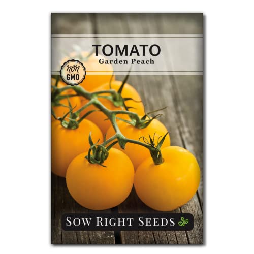 Sow Right Seeds - Garden Peach Tomato Seeds for Planting