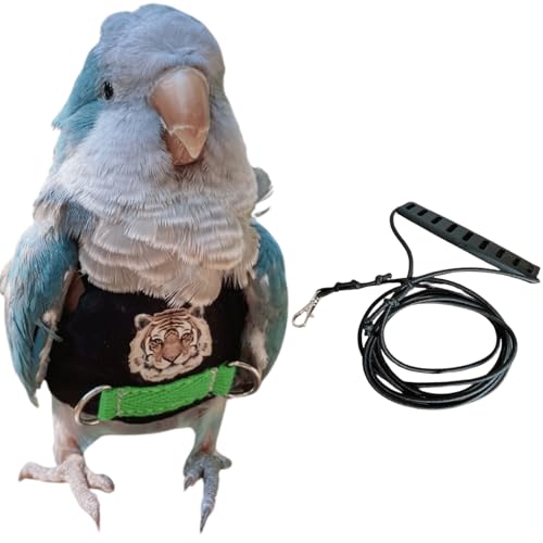 CXYYXF Bird Flight Harness Vest, Parrot Flight Suit with Leash, Bird Flying Clothes with Rope and Handle for Outdoor Activities (L)