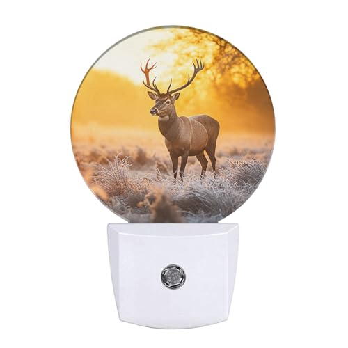 Image of EKOBLA Reindeer Night Light, Elk Deer Wildlife Nature Scene Night Lights Plug Into Wall with Auto On /Off for Home Decor and Women Gifts