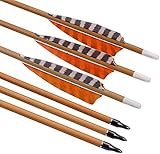 Elong 6pk 30