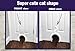 The Kitty Pass Interior cat Door - let Your cat in and Out of Closed Doors, Secure pet Proof gate Latch - for Cats up to 21 lbs