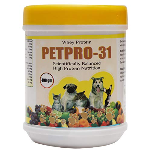 Is Whey Protein Safe For Dogs