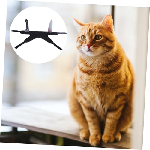 Disfraz Halloween para Perros y Gatos Talla M miniatura 6