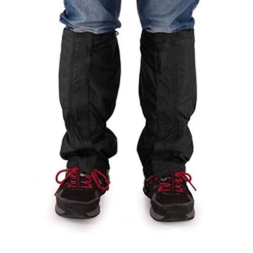 AEghAQC^[ oRXpbc  h D oR J悯 ΍ ʋC ȒP ϋv