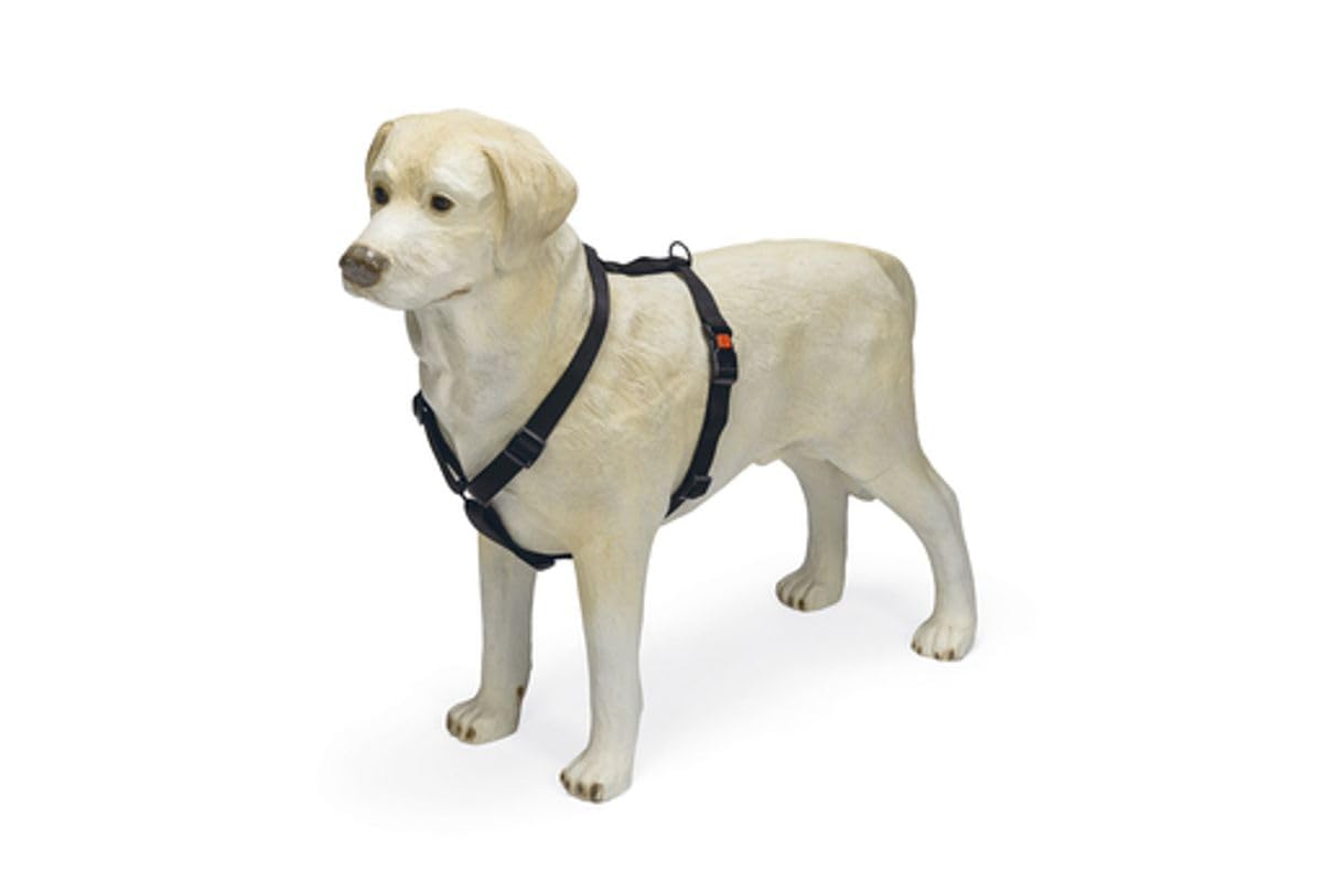 Karlie Art Sportiv Plus Harness, 25-40 cm x 10 mm, Black,
