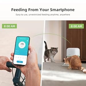 5g Wifi Automatic Cat Feeders Easy to Use 2l4l Cat Food Dispenser Automatic Timed Cat Feeder with Dualband Wifi App Control for Remote Feeding Easy to Clean Also for Dogs Cucciolini Doodles 5g wifi automatic cat feeders easy to use 2l4l cat food dispenser automatic timed cat feeder with dual band wifi app control for remote feeding easy to clean also for dogs cucciolini doodles