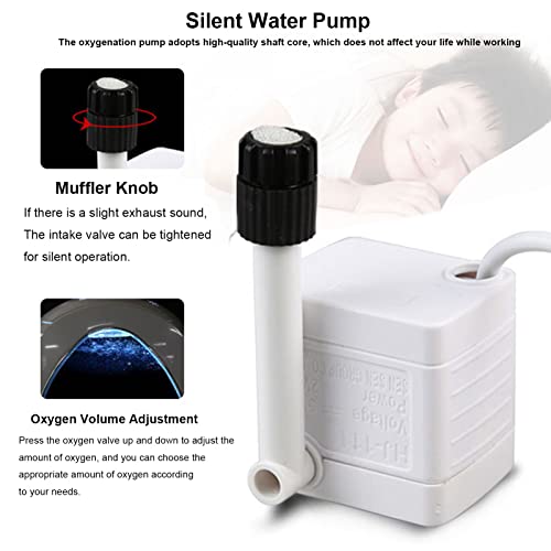 1 Gallon Aquarium Kit For Home Office Desktop With Led Lighting And Air Pump Quiet, Small Fish Bowls For Betta Fish Goldfish With Fish Tank Kit Plants Accessories Decorations Stones Glass Sand #TOP5