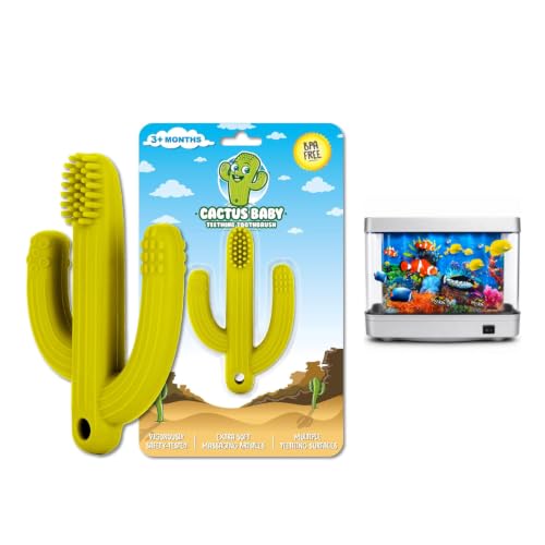 Image of Cactus Fake Aquarium