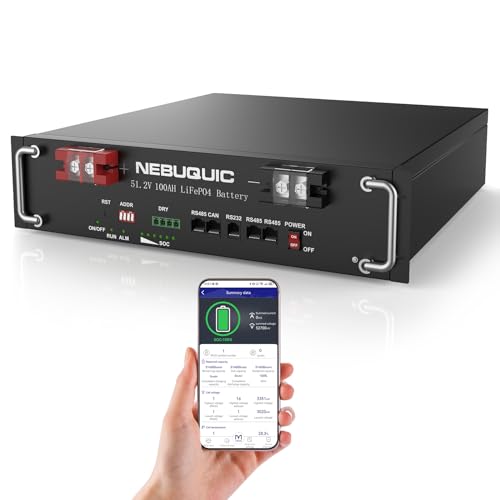 NebuQuic 48V(51.2V) 100Ah LiFePO4 Lithium Battery 5.12kWh 3U Rack Mount Server Battery with 100A BMS & Bluetooth APP, 6000+ Deep Cycles for Solar Energy Storage System, RV, Off-Grid and Backup Power